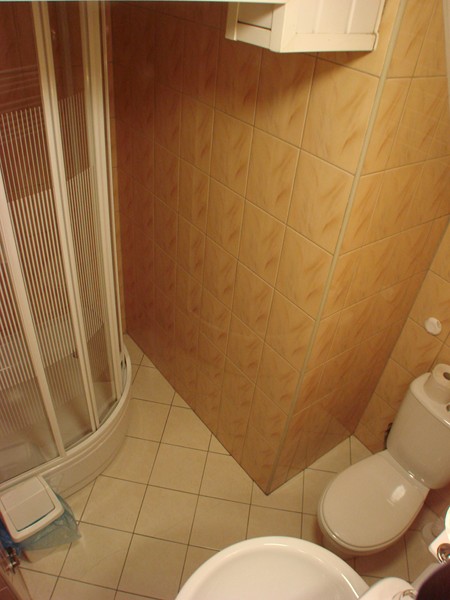 Ilustracja artykułu